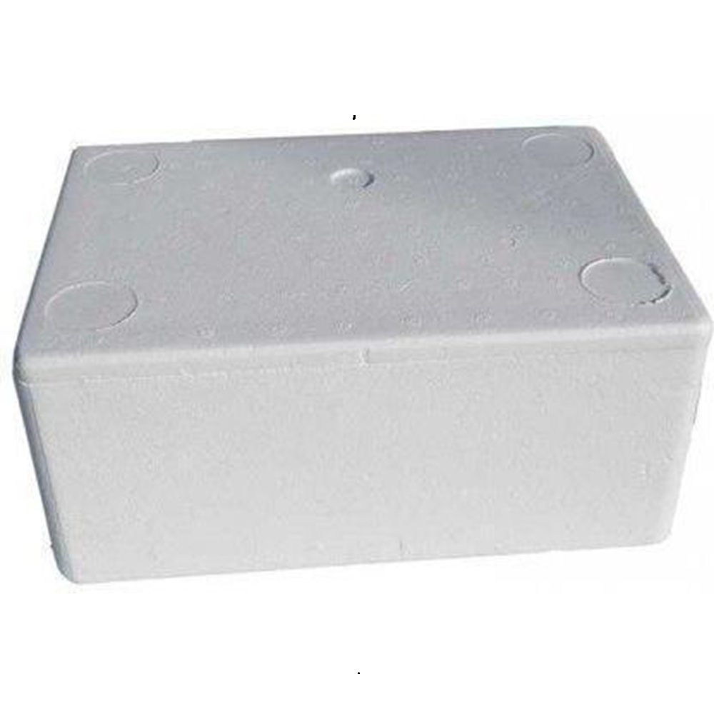 EPS Thermocol Ice Box